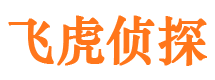 永新私家侦探